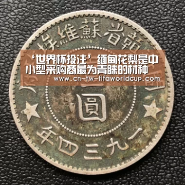 ‘世界杯投注’缅甸花梨是中小型采购商最为青睐的材种