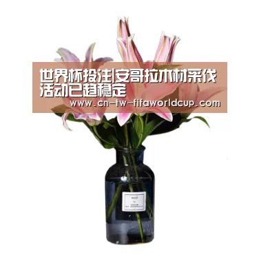 世界杯投注