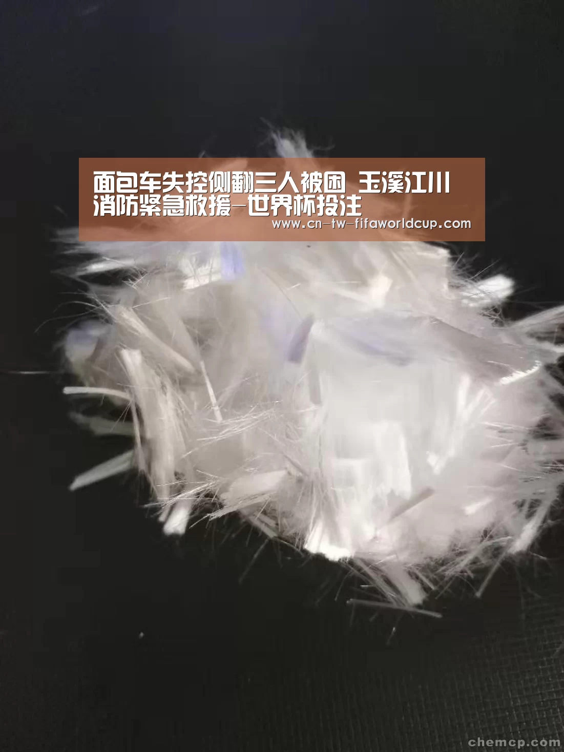 世界杯投注