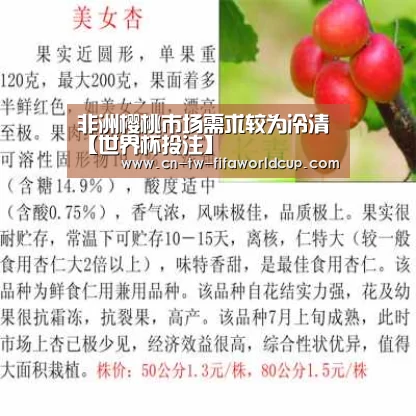 非洲樱桃市场需求较为冷清【世界杯投注】(图3) 世界杯投注